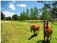 3 George Brown Street, Eden NSW 2551