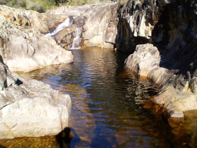 163 Kiaka Road, Nethercote NSW 2549