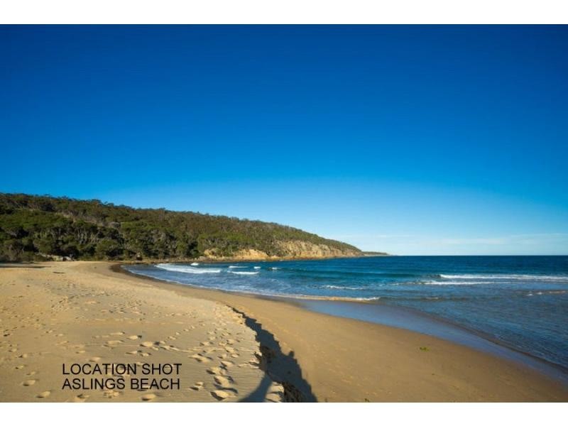 L223 Kingfisher Circuit, Eden NSW 2551