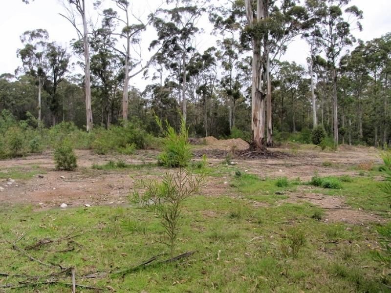 Lot 78 Redfern Close, South Pambula NSW 2549