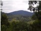 L11 Genoa Street, Towamba NSW 2550