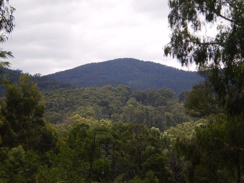 L11 Genoa Street, Towamba NSW 2550