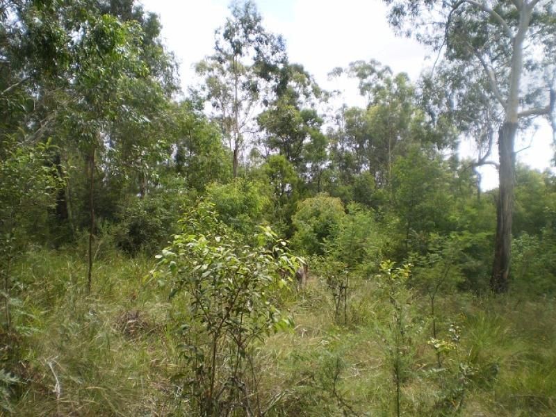 L11 Genoa Street, Towamba NSW 2550