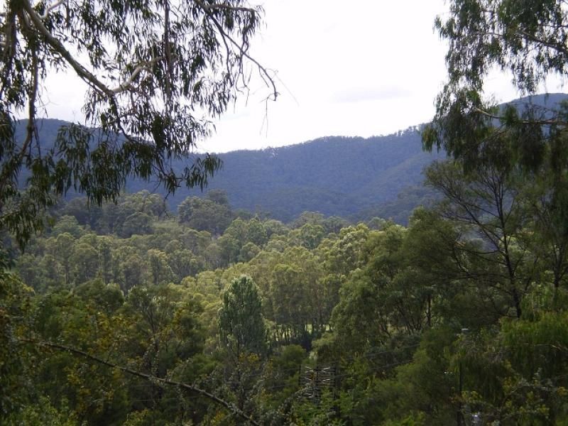 L11 Genoa Street, Towamba NSW 2550