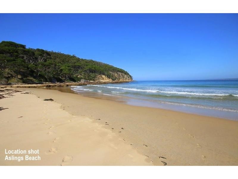 L212 Kingfisher Circuit, Eden NSW 2551