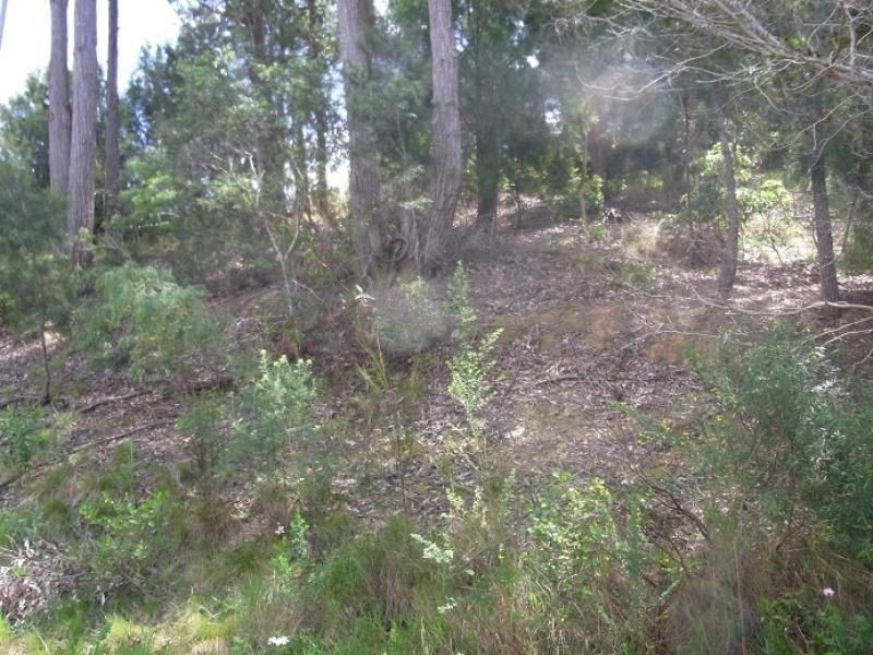 14A Andrea Street, Eden NSW 2551