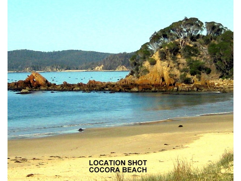 19 Andrea Street, Eden NSW 2551