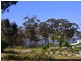 L228 Marlin Avenue, Eden NSW 2551