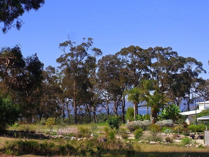 L228 Marlin Avenue, Eden NSW 2551