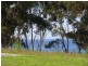 L228 Marlin Avenue, Eden NSW 2551
