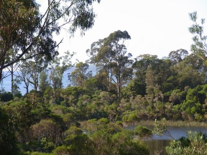 9 Cosham Close, Eden NSW 2551