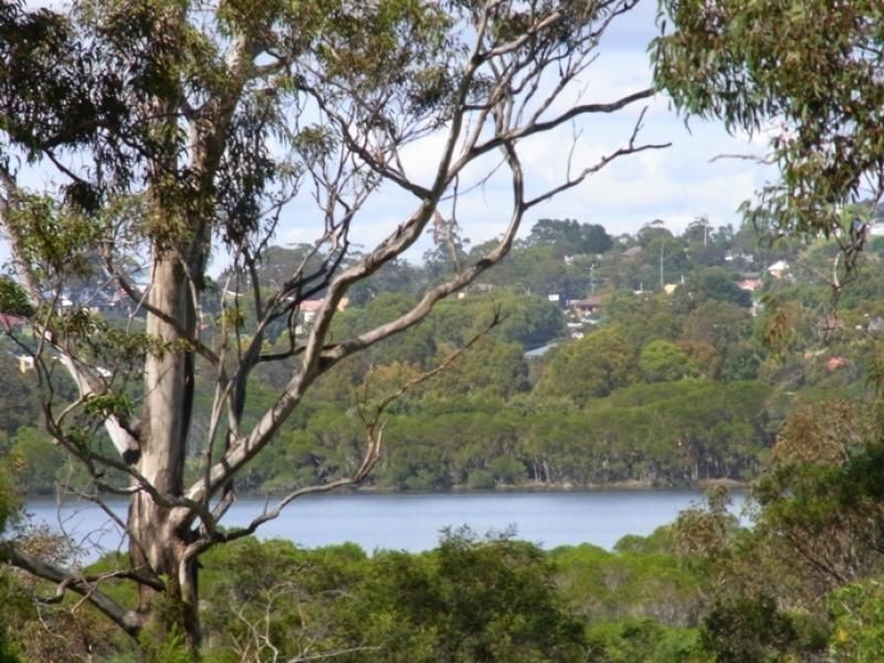 Lot 104 Kingfisher Circuit, Eden NSW 2551