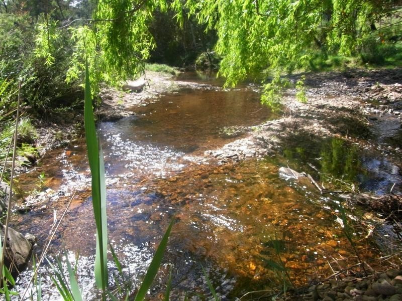 922 Nethercote Road, Nethercote NSW 2549