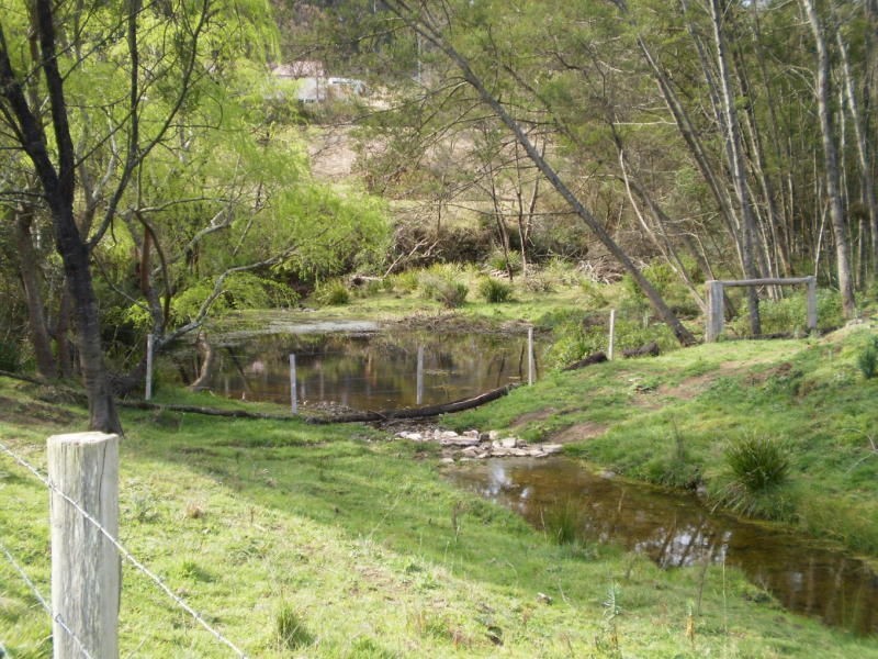 922 Nethercote Road, Nethercote NSW 2549