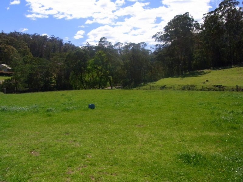 922 Nethercote Road, Nethercote NSW 2549