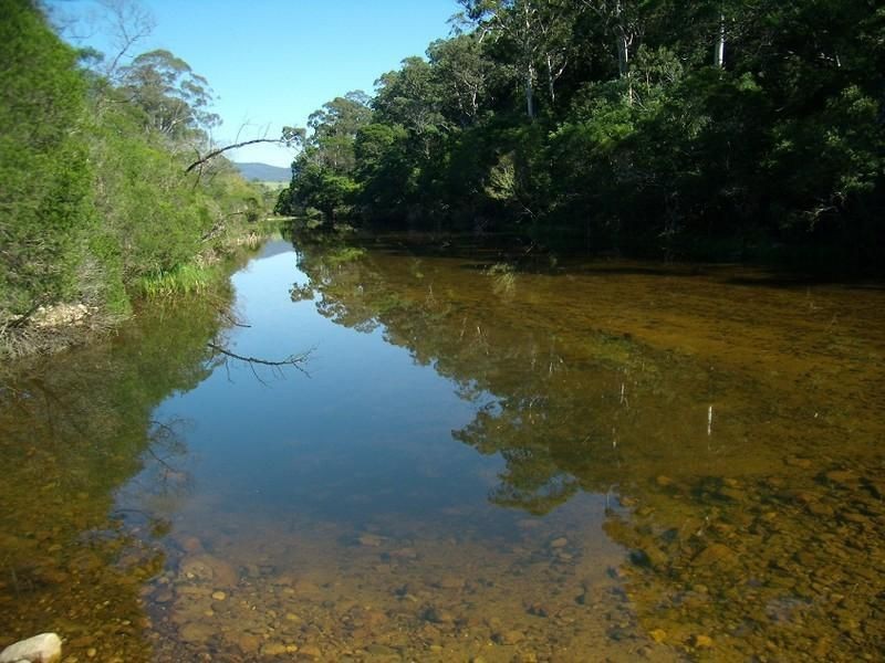 243 Mt Darragh Road, South Pambula NSW 2549