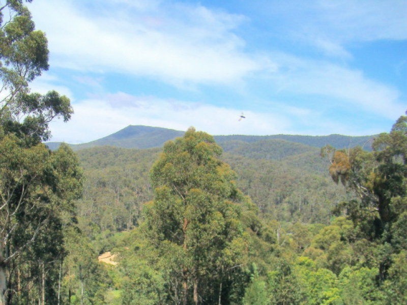 1670 Towamba Road, Towamba NSW 2550