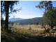 Lot 4 Nangutta Street, Towamba NSW 2550