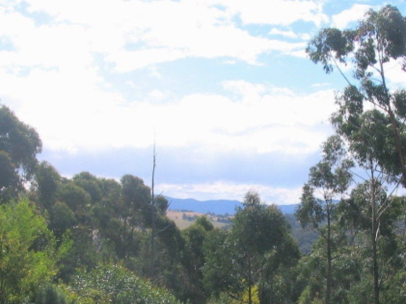 L842 Kiaka Road, Nethercote NSW 2549