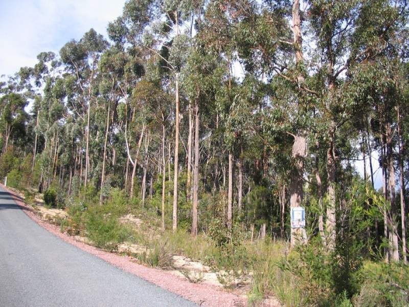 L842 Kiaka Road, Nethercote NSW 2549