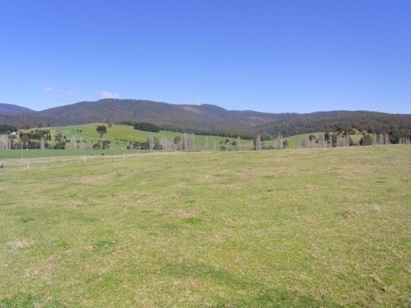 2114 Towamba Road, Towamba NSW 2550