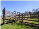2114 Towamba Road, Towamba NSW 2550