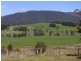 2114 Towamba Road, Towamba NSW 2550