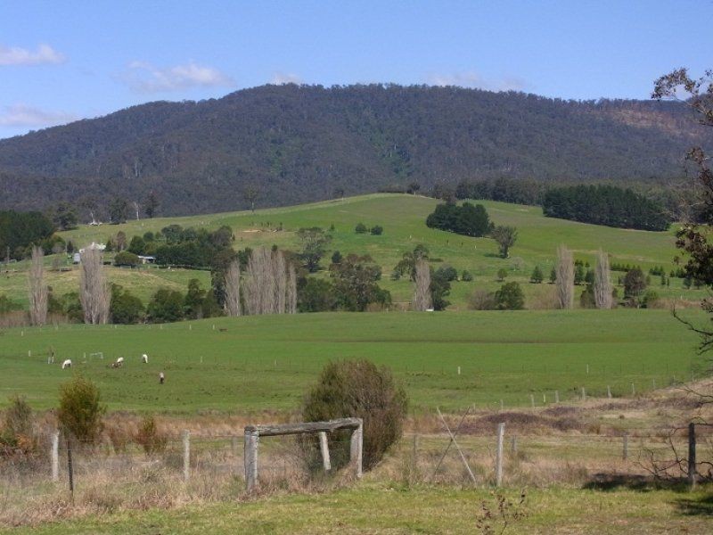 2114 Towamba Road, Towamba NSW 2550
