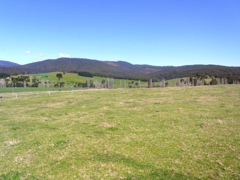 2114 Towamba Road, Towamba NSW 2550