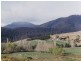 2114 Towamba Road, Towamba NSW 2550