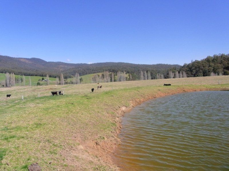 2114 Towamba Road, Towamba NSW 2550