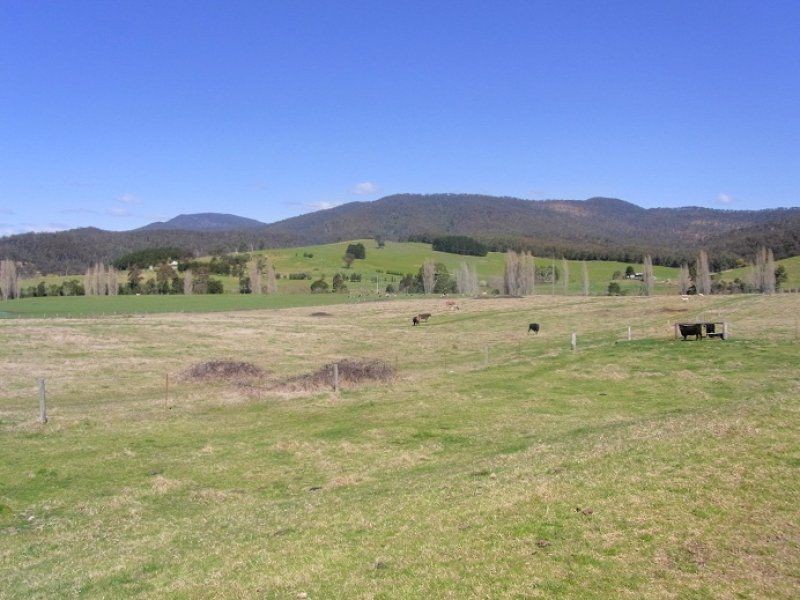 2114 Towamba Road, Towamba NSW 2550