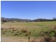 2114 Towamba Road, Towamba NSW 2550