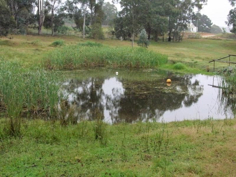 10-18 Nangutta Street, Towamba NSW 2550