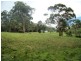 146 Back Creek Road, Nethercote NSW 2549