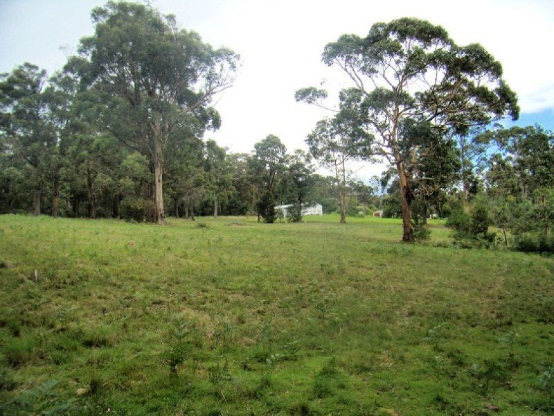 146 Back Creek Road, Nethercote NSW 2549