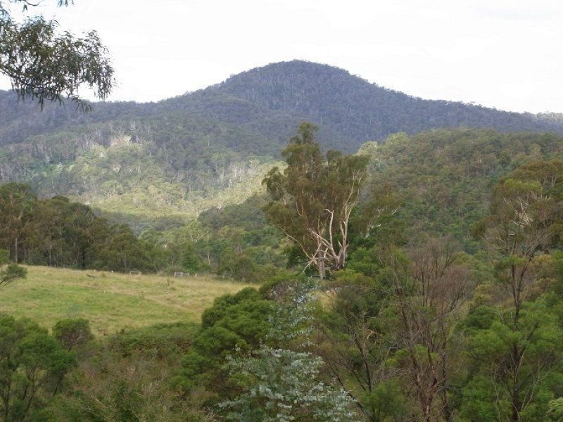 613 New Buildings Road, Wyndham NSW 2550