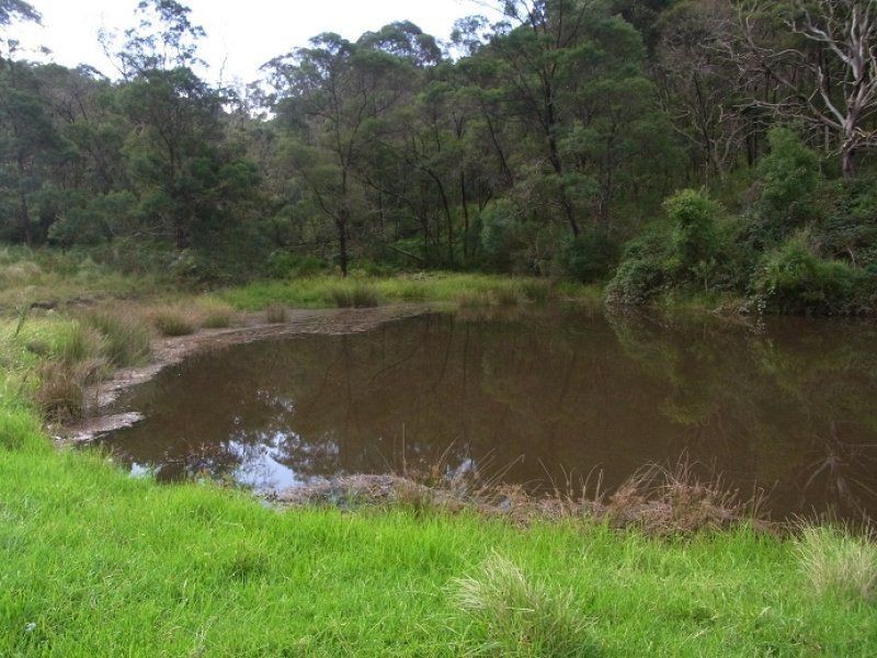 613 New Buildings Road, Wyndham NSW 2550