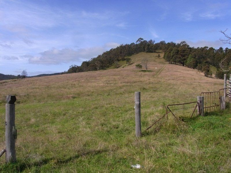 3353 Mt Darragh Road, Wyndham NSW 2550