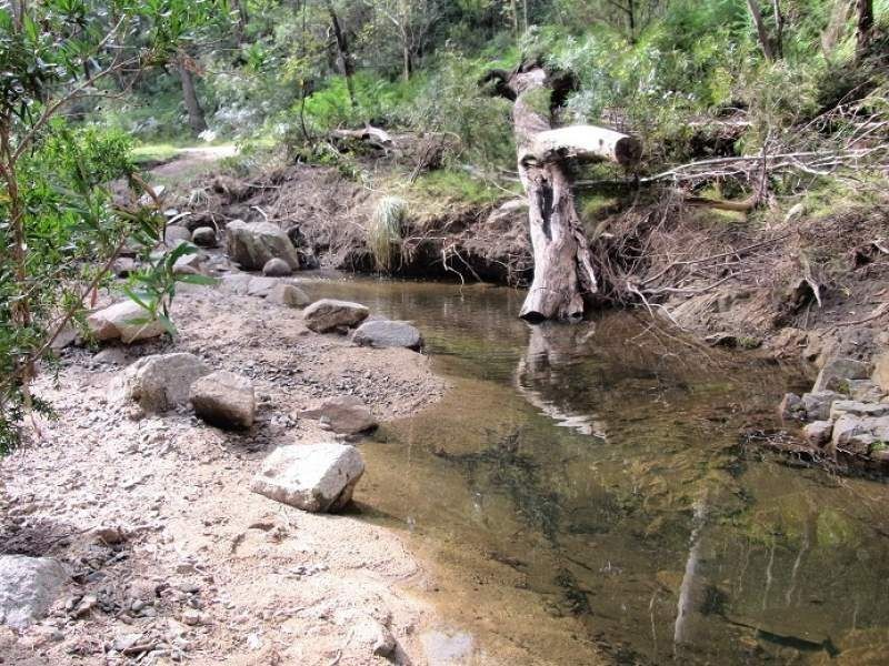 3353 Mt Darragh Road, Wyndham NSW 2550