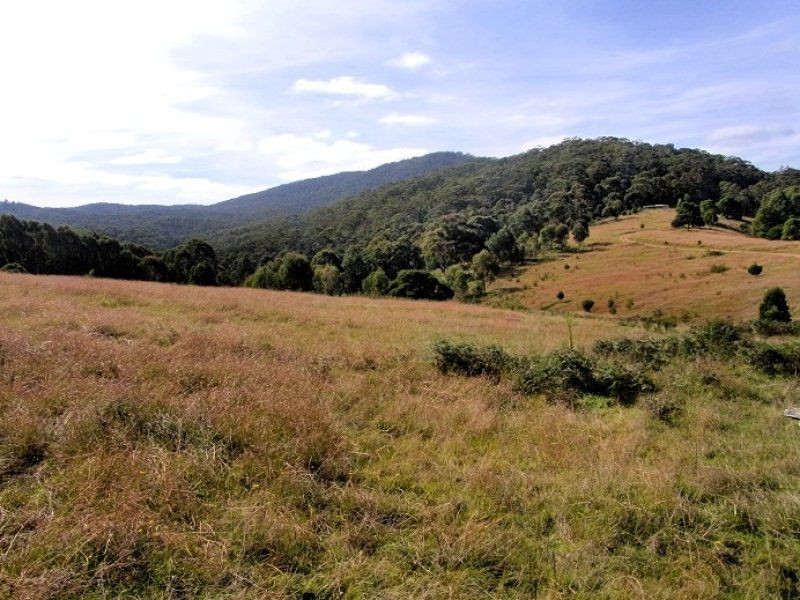 3353 Mt Darragh Road, Wyndham NSW 2550