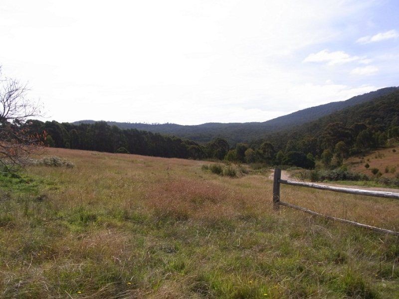 3353 Mt Darragh Road, Wyndham NSW 2550