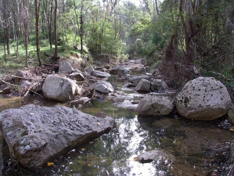 3353 Mt Darragh Road, Wyndham NSW 2550