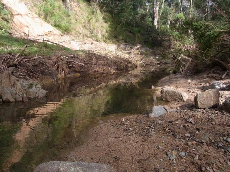 3353 Mt Darragh Road, Wyndham NSW 2550