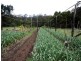 Lot 30 Towamba Road, Eden NSW 2551