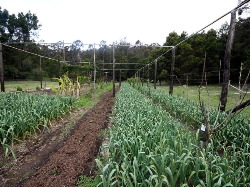 Lot 30 Towamba Road, Eden NSW 2551