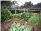 Lot 30 Towamba Road, Eden NSW 2551