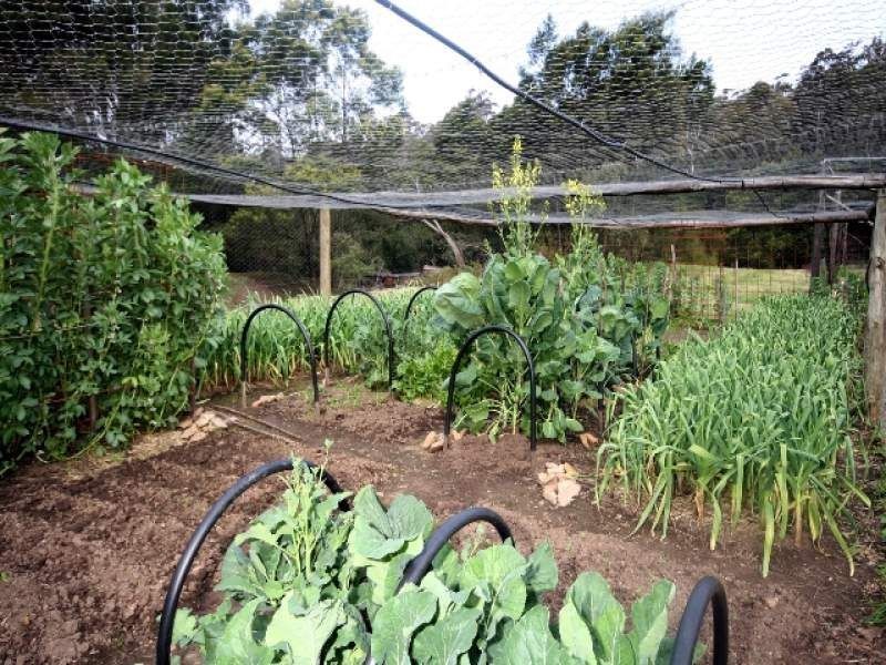 Lot 30 Towamba Road, Eden NSW 2551