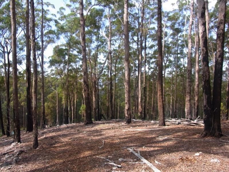 L242 Florabunda Lane, Nethercote NSW 2549