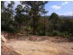 L242 Florabunda Lane, Nethercote NSW 2549